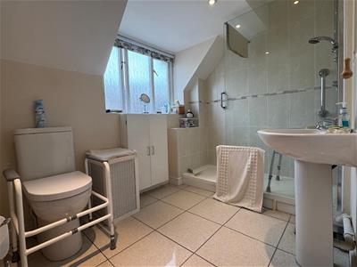 Picture 8